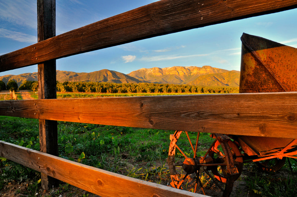 Brian Pidduck Fence Photograph from "Our Ojai"